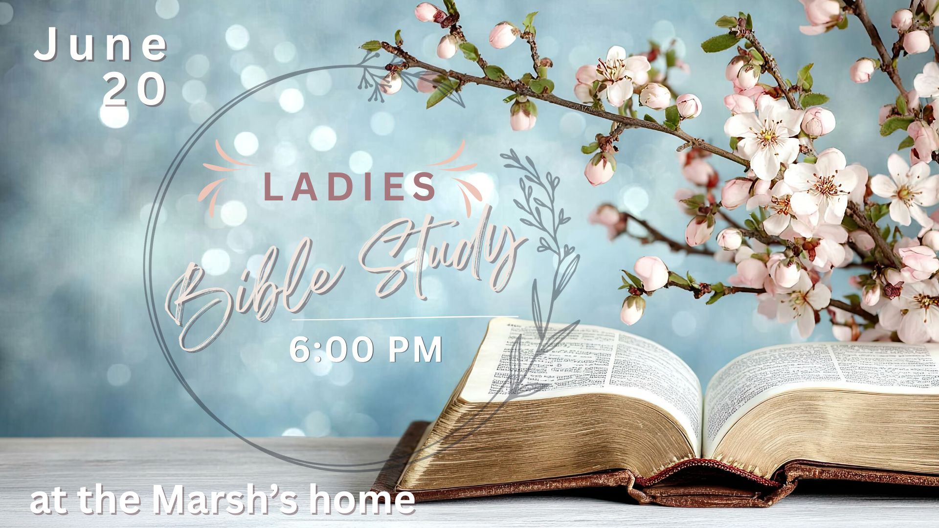 Ladies Bible Study